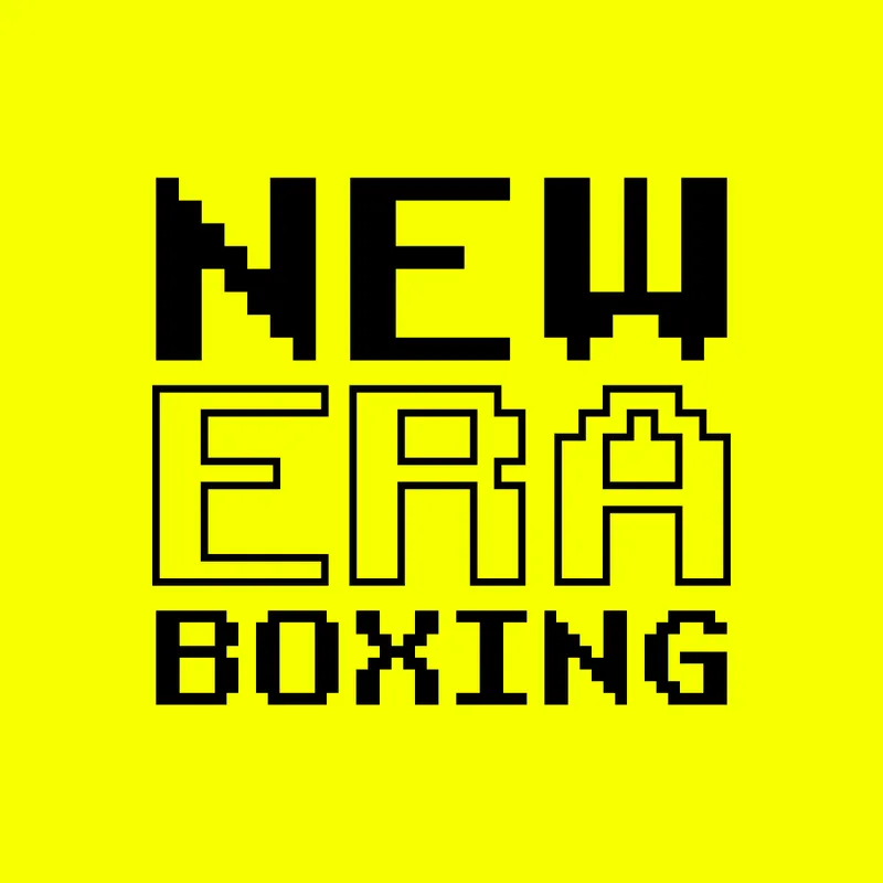 new era brand (8)