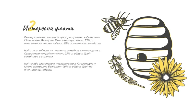web design projects best ever case study (38)
