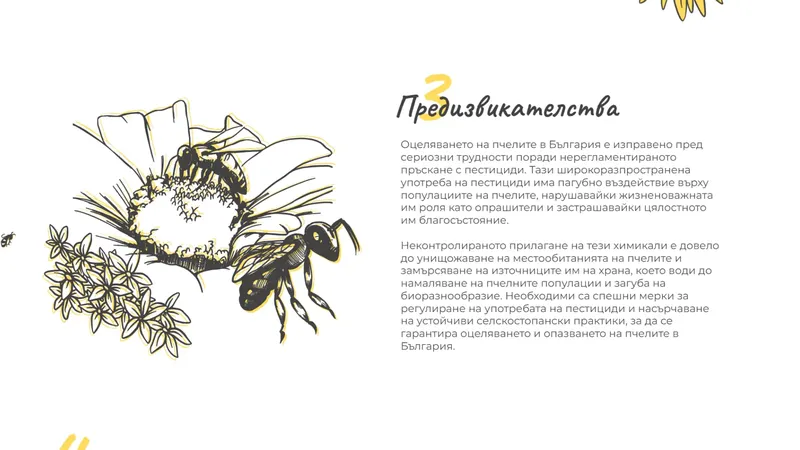 web design projects best ever case study (39)